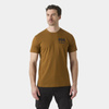 T-shirt męski Helly Hansen brown 79309-750 - L